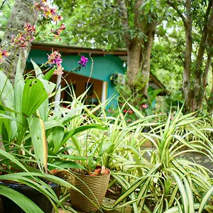  Alloggio in famiglia Palitha Sri Lanka